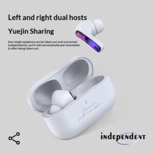 True Wireless In-ear Bluetooth Headphones